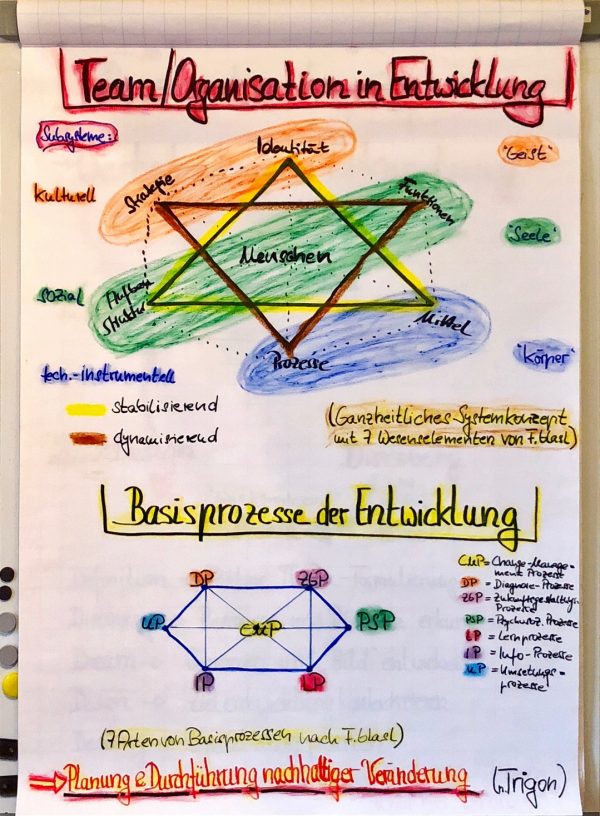 Systemkonzept & Basisprozesse der Entwicklung nach Trigon