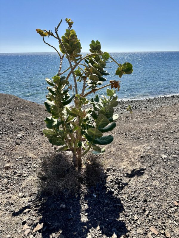 Resilienz und Verlust